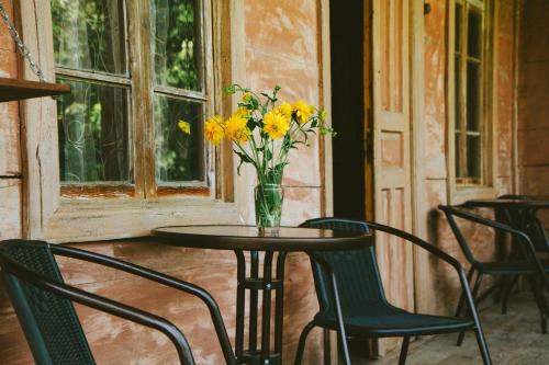 tsereteli's house