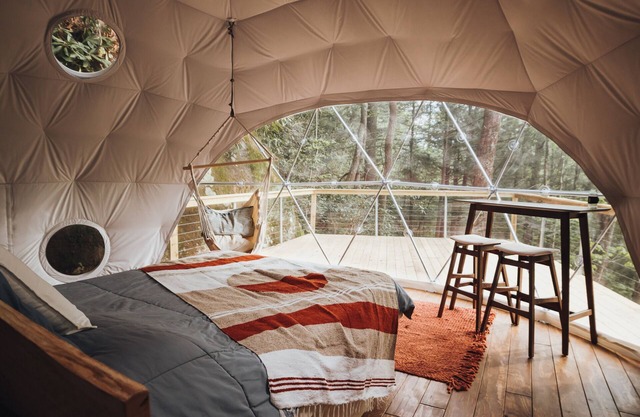Turtle Dome Treehouse: part of the dome town village!
