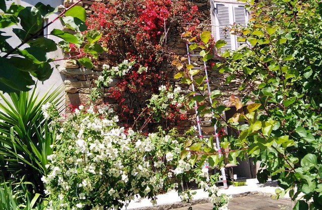 typical Corsican village house in the heart of Nebbio