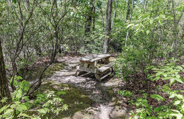 Unique Cabin w/Fire Pit and Tennis On Site