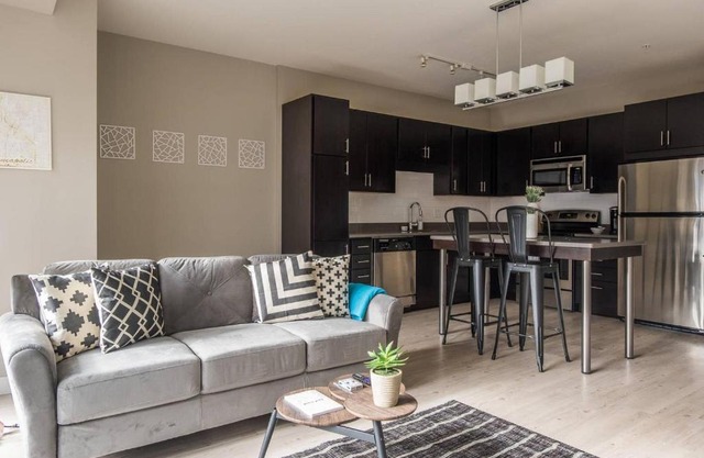 Updated 1BR Apt near the Mississippi River