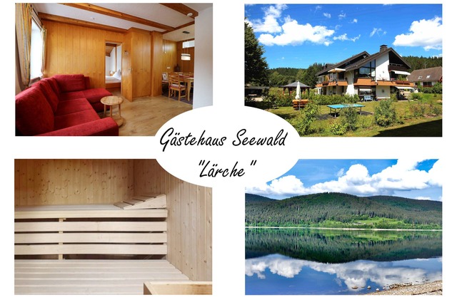 Vacation apartment/apartment for 4 guests with 43m² in Schluchsee (268610)