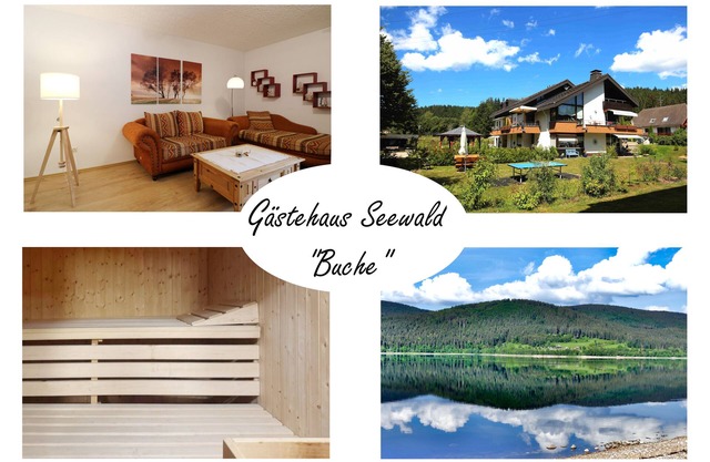 Vacation apartment/apartment for 3 guests with 50m² in Schluchsee (268611)
