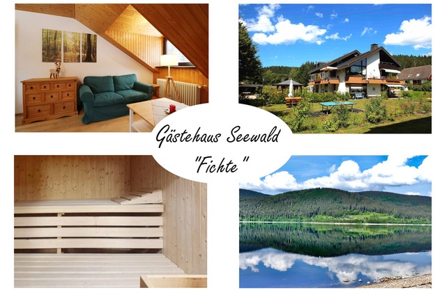 Vacation apartment/apartment for 2 guests with 35m² in Schluchsee (268615)