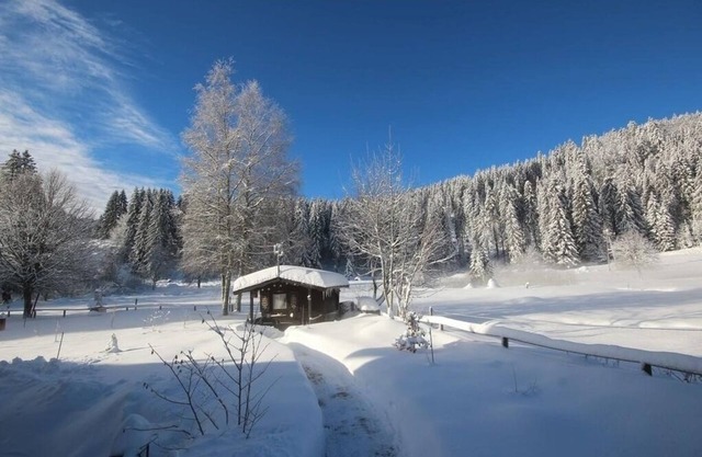 Vacation apartment/apartment for 2 guests with 30m² in Schluchsee (268616)