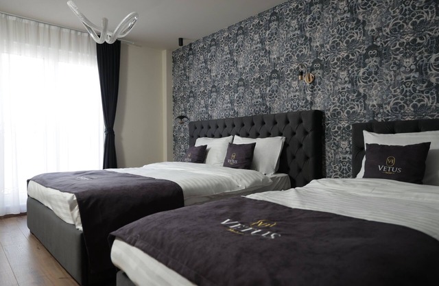 Vetus Hotel