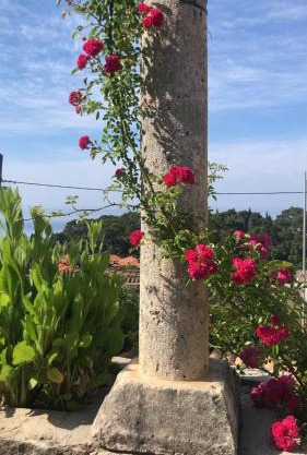 Villa Anica Dubrovnik - luxurious with a sea view
