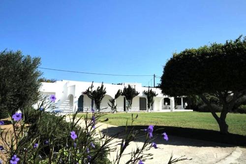 Villa Omega in Kokkali, Leros