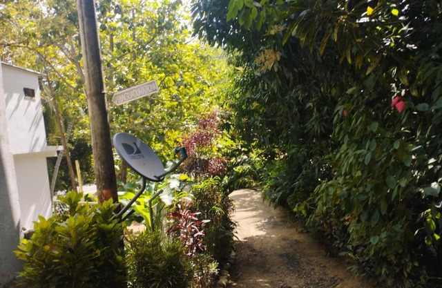 Villa Guadua Tayrona