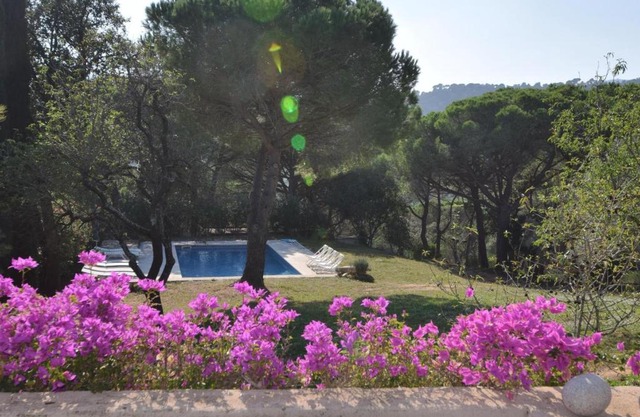 Villa Mas Bartra