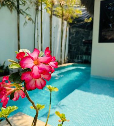 Villa Oasis deLux Alberca privada