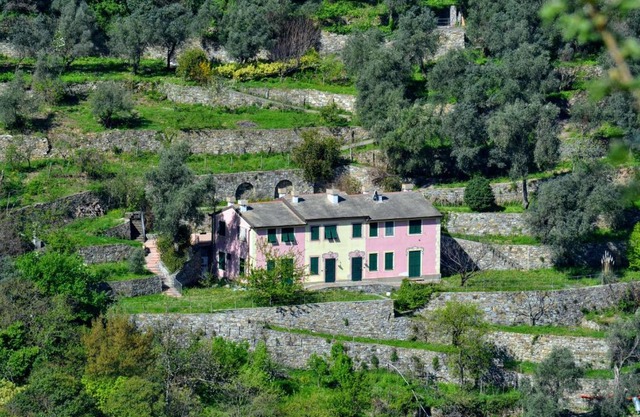 Villa Olivari - apt la Lavanda