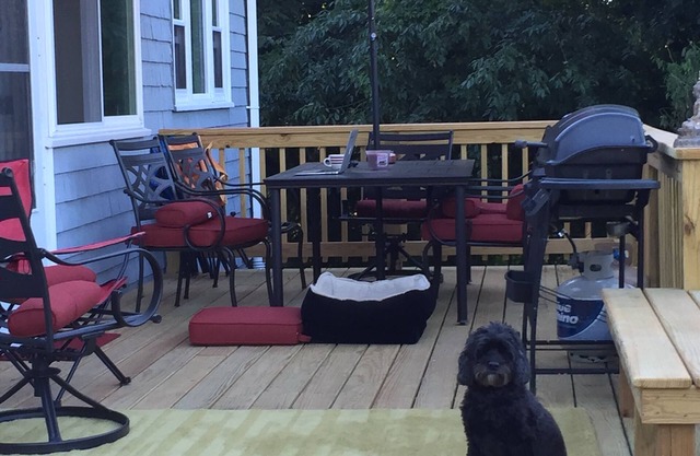~Walk to Good Harbor Beach: Adorable 4 bedroom/2 bath Dog Friendly~AC-Summer fun