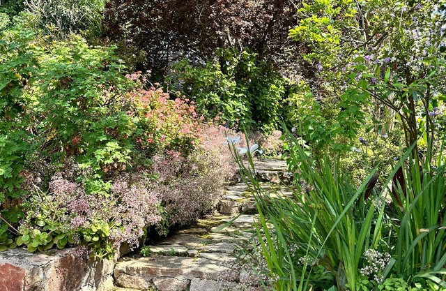 Warm & Welcoming Cottage - Your Perfect Getaway