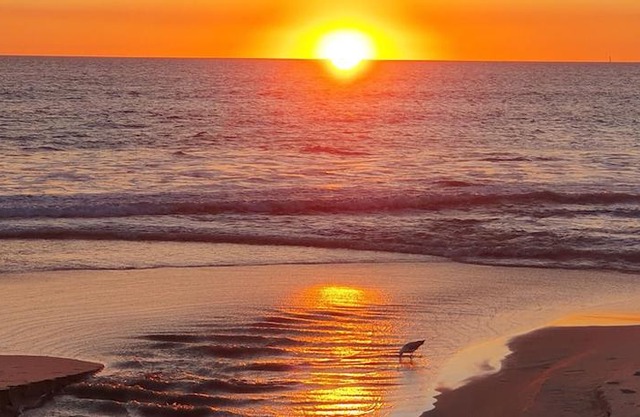 West Beach Lagoon 219 Sleeps 3!