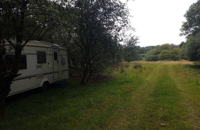 Wheels in the wilderness