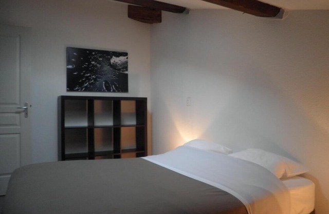 Wifi, 25m from resort center, terrace, parking, tv, ski locker, 45-50m², Chabanon-Selonnet