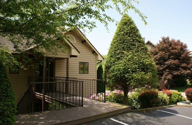 WILLOW 3 by RedAwning