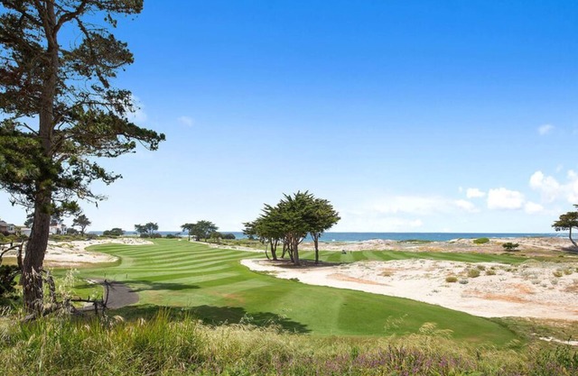 Willow Tree - Pebble Beach House - Golf, golf, golf, from Spyglass to Spanish Bay!