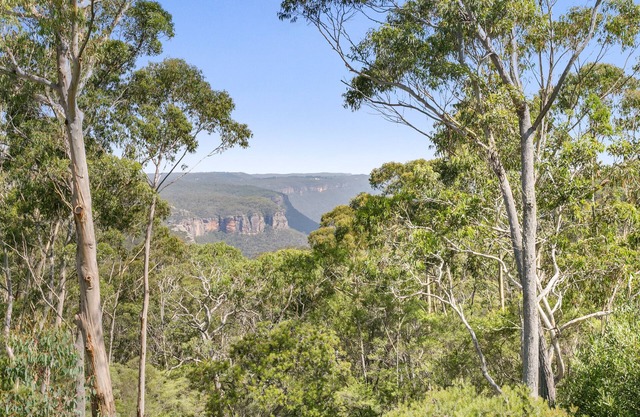 Winterglen - located in the Blue Mountains (Mount Victoria)