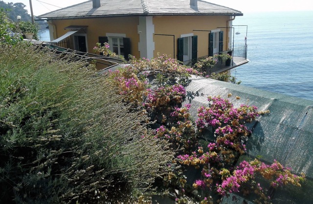 Wonderful House with private garden immersed in the park of Portofino.