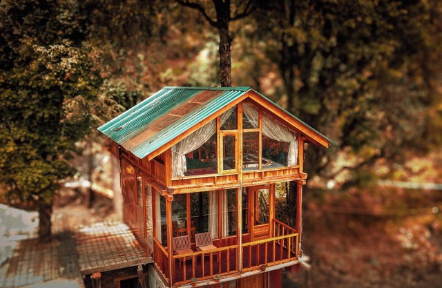 WOW DUPLEX TREEHOUSE