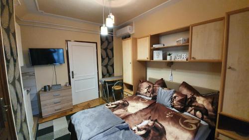 Siofok Aranypart House | Ágnes Vendégházak Siófok-apartman 1