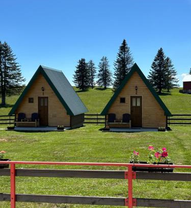 Zabljak Ski Chalet | Šumski raj