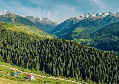 Issyk-Kul Region House | Горный дом ЛЕС и ГОРЫ Dinarsky