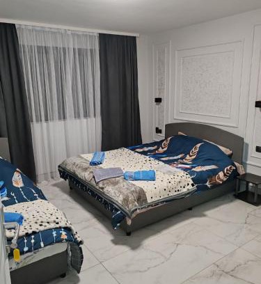 Dimitrovgrad House | Жикин дом