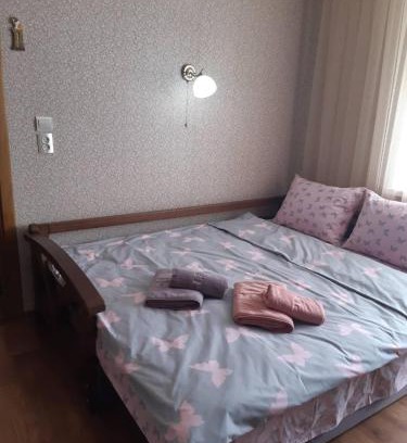 Izyaslav Apartment | Однокімнатна