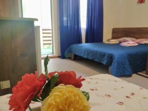 Serhiivka Hotel | Отель "Лагита"