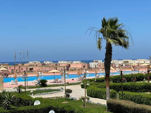 Sidi Abd El-Rahman Apartment | بلومار Blumar