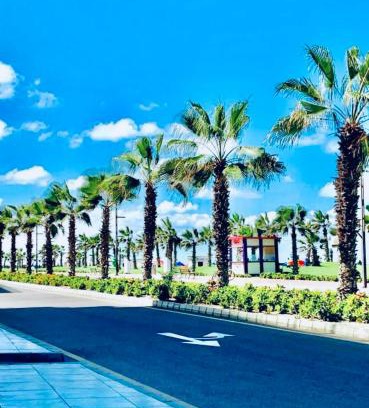 Al-Manasrah Apartment | بورتو سعيد فندق وشقق مميزة