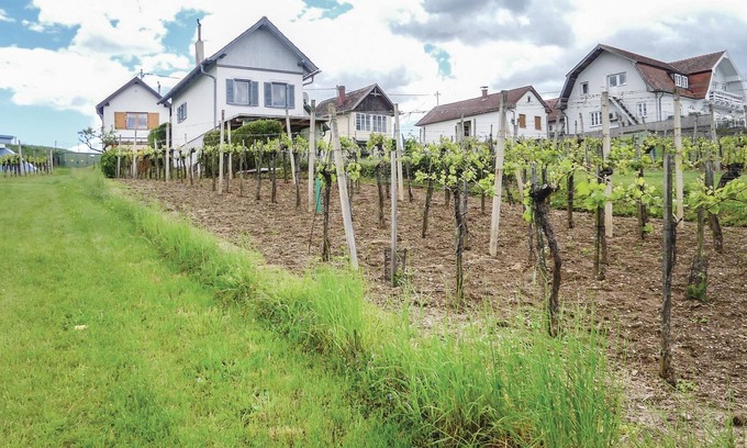 Hannersdorf House | 1 bedroom apartment in Hannersdorf