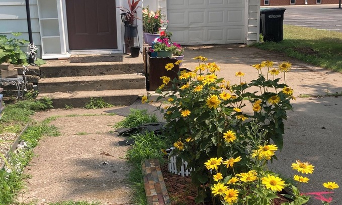 Little Falls House | 1888 Gem in Original L.Falls- 3BR,1BA Cozy Modern Vibes, WiFi, Pet Friendly Yard