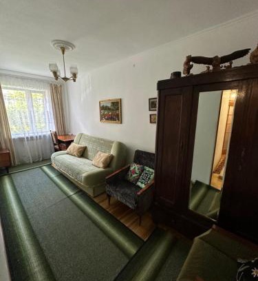 Truskavets Apartment | 2 кімнатна квартира Трускавець,поруч центр та Дельфінарій