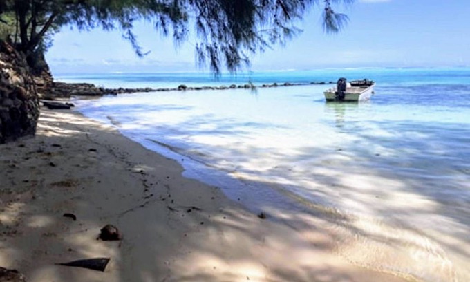 Moorea-Maiao Apartment | 2500 m² Apartment ∙ 1 bedroom ∙ 4 guests