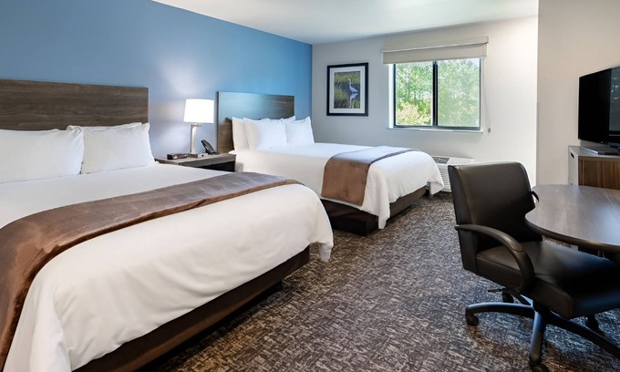 Watertown Hotel | 4 Bright and Inviting Rooms with Full Kitchen to Cook & Relax - Pet Friendly!