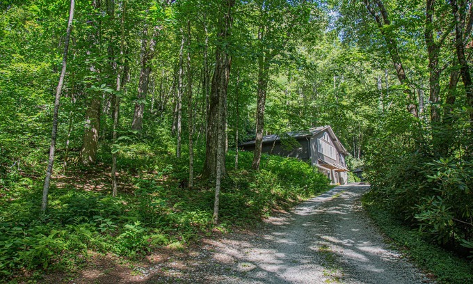 Highlands Cabin | 4 Min To Town, Screened Porch, Stunning Wooded Views, Dogs Ok,
