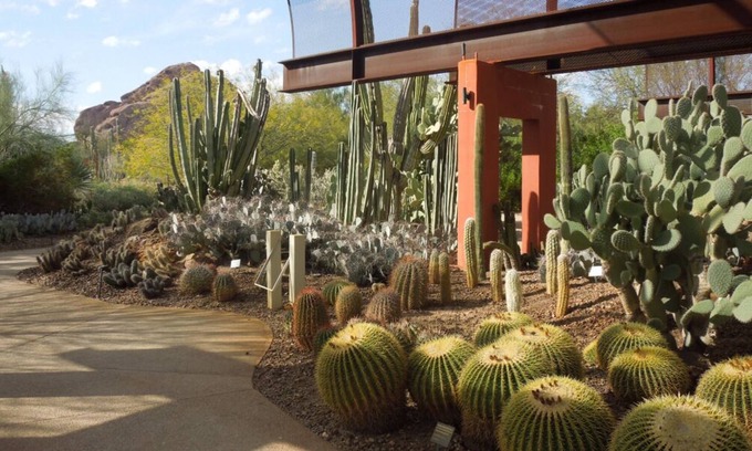 South Scottsdale Resort | 4 Serene Units in 40-Acre Property, Perfect for Special Events! On-Site Dining