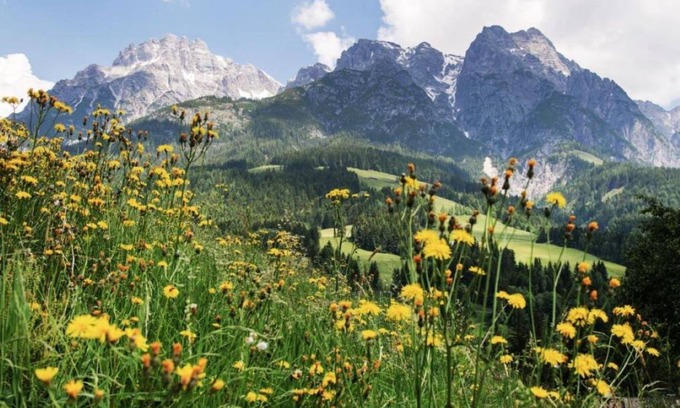 Almdorf Apartment | 45 m² Apartment ∙ 2 bedrooms ∙ 10 guests