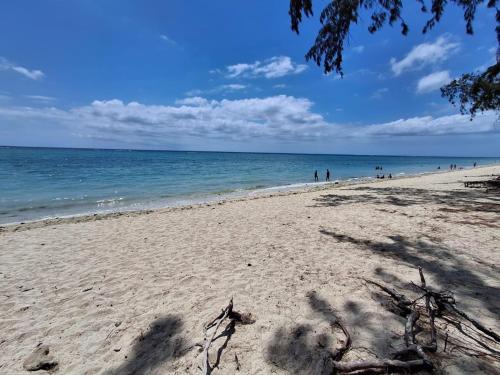 Wolmar Apartment | 4Beds- Beachfront Bungalow