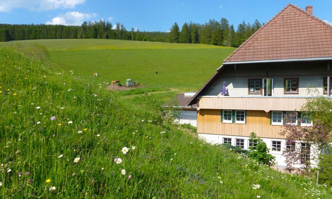 Voehrenbach Apartment | 65 m² Apartment ∙ 1 bedroom ∙ 4 guests