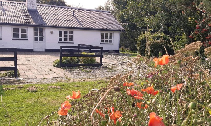 Lokken House | 8 person holiday home in Løkken