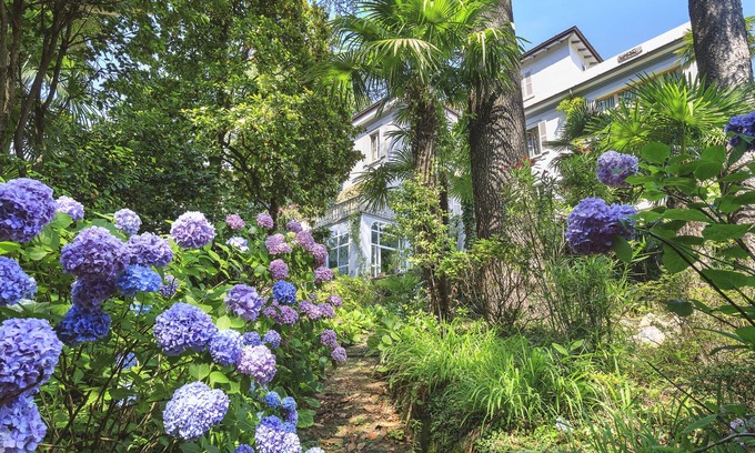 Dizzasco Villa | 800m2 SPRAWLING HISTORIC MANSION VILLA D'EPOCA OF 17TH CENT ON LAKE COMO