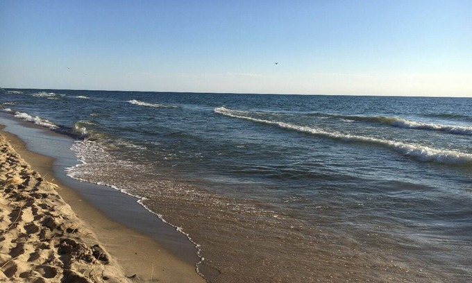 Holland House | A block from the beach! A beautiful wooded spot a 5 minute walk from Lake MI.
