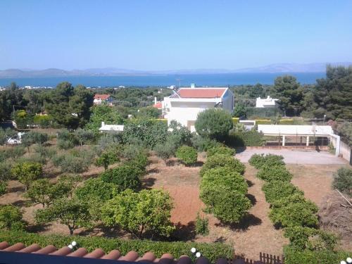 Nea Makri Apartment | Adam's Farm Loft - Airport shuttle available!