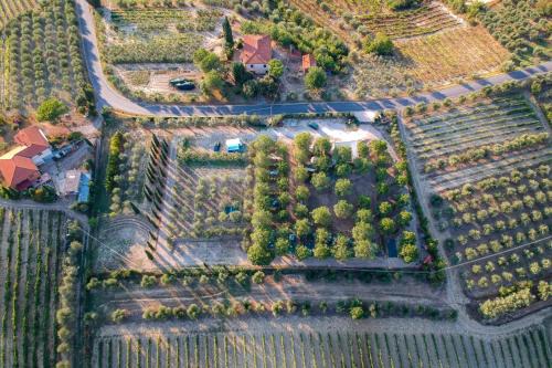 Certaldo Other | AGRiCAMPiNG POGGiO Ai PiNi WiNE CAMPiNG