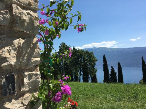 Gargnano House | Agriturismo Casa del Castagneto